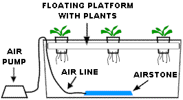 http://www.homehydrosystems.com/hydroponic-systems/images_systems/watercult_full.gif
