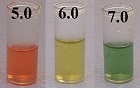 pH color scale